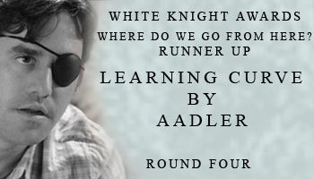 White Knight Awards, Round 4 – Runner-Up, Post-Chosen Fic